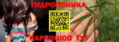крисы Мариинск