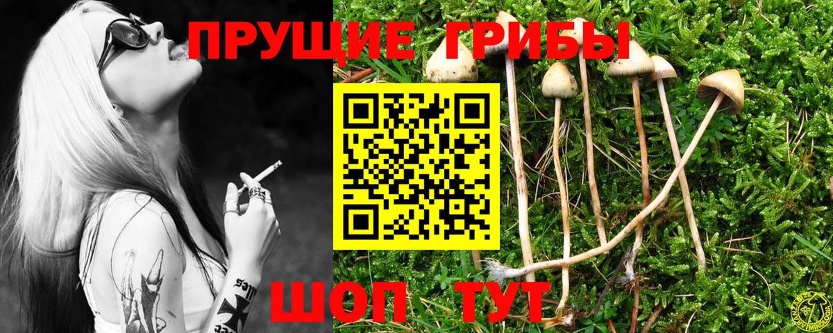Галлюциногенные грибы прущие грибы  Вход с VPN  Златоуст 