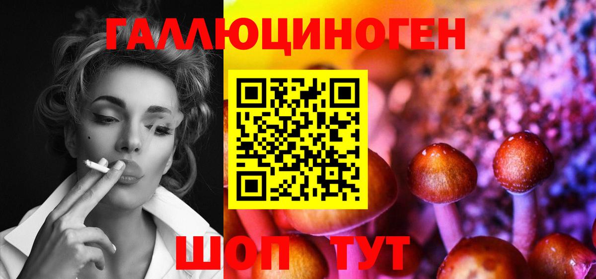 Галлюциногенные грибы Psilocybe Златоуст